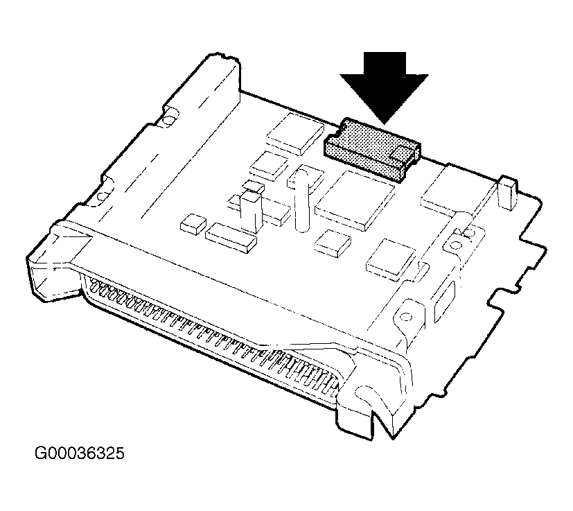 G00036325