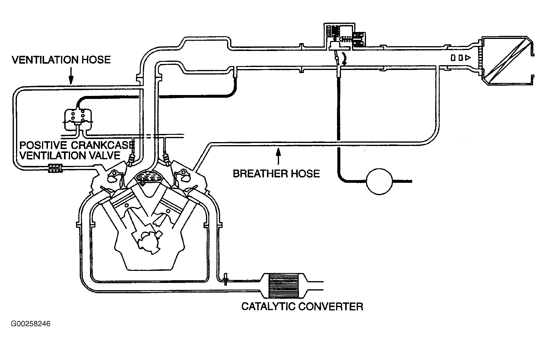 G00258246