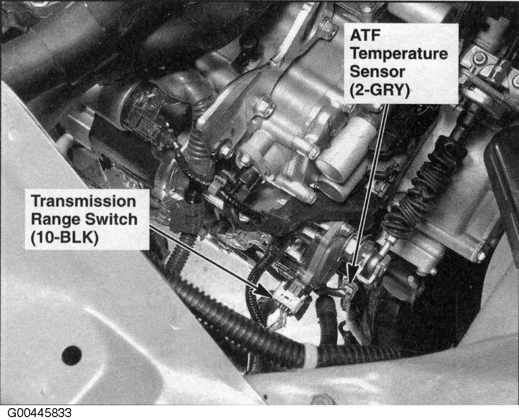 G00445833