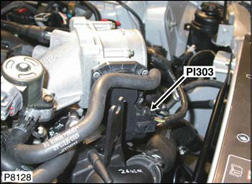 G00454561