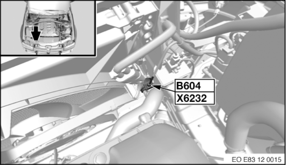 G00495895