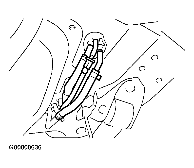 G00800636