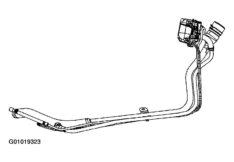 G01019323