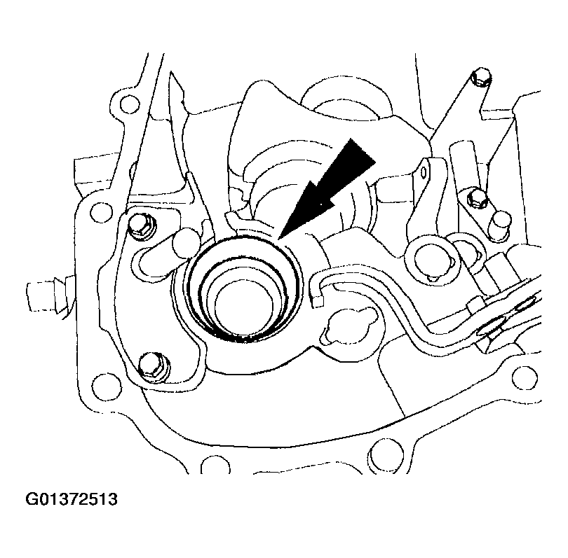 G01372513