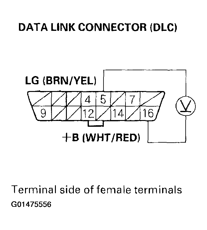 G01475556