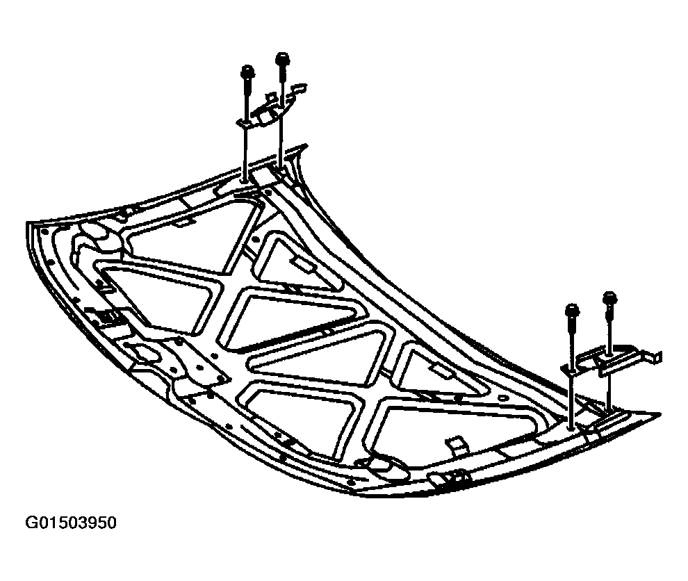 G01503950