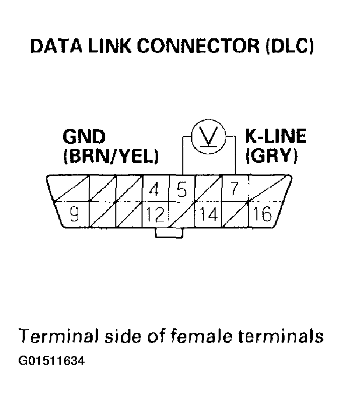 G01511634