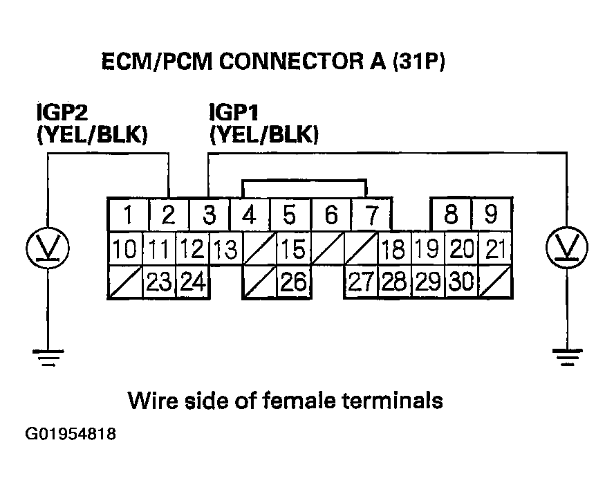 G01954818