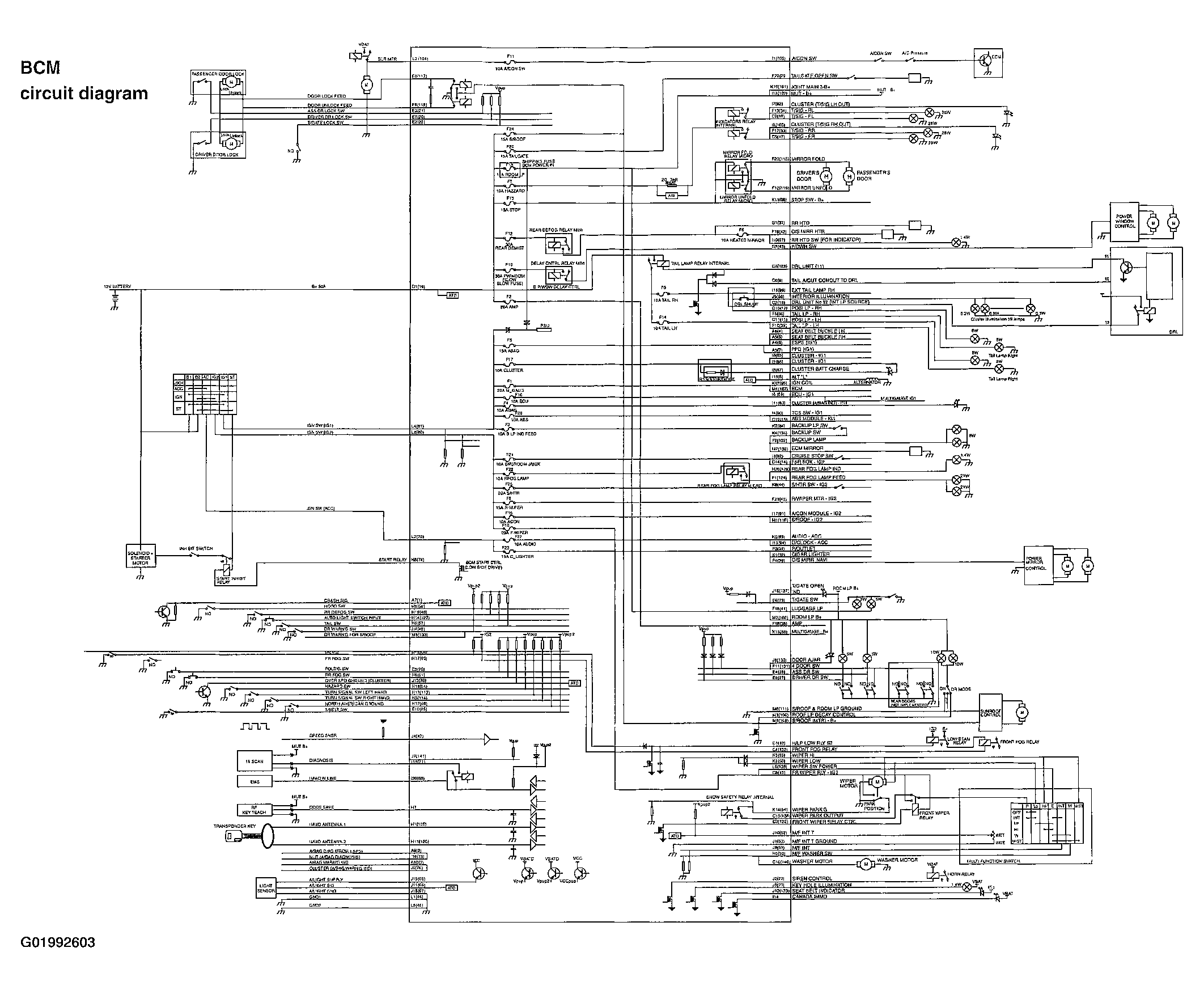 G01992603