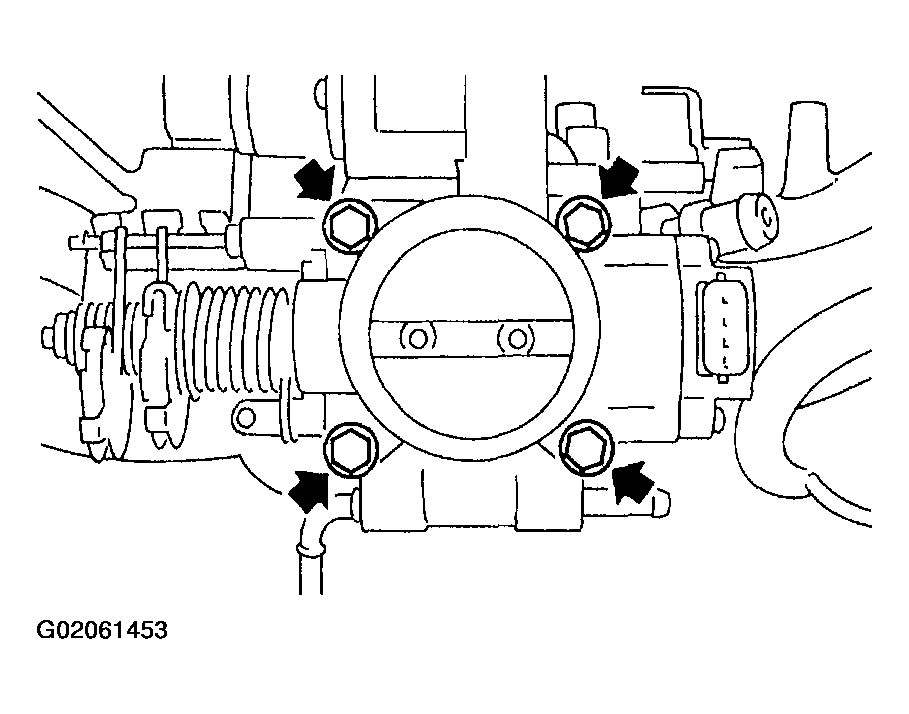 G02061453