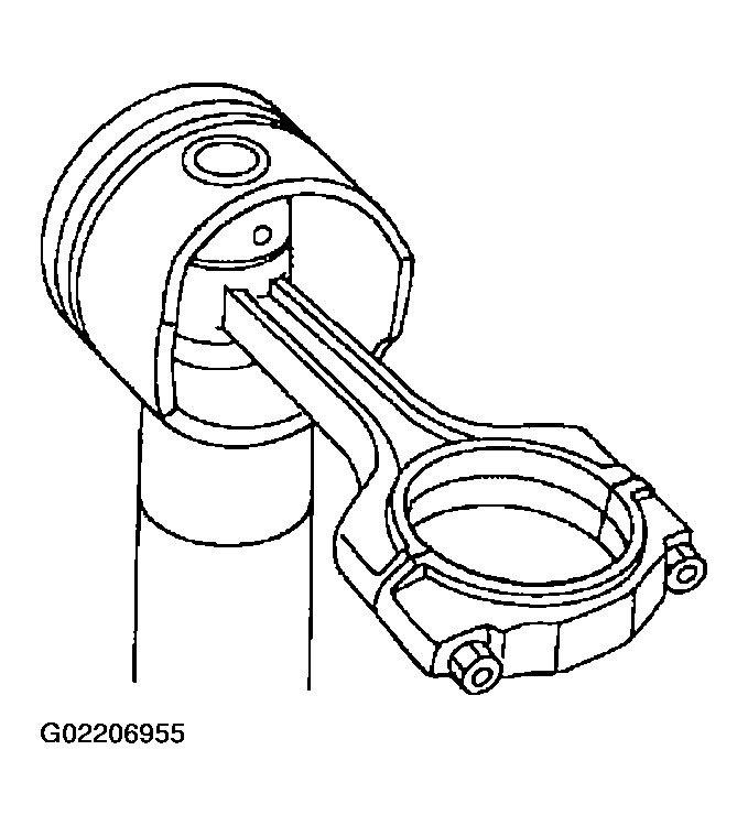 G02206955
