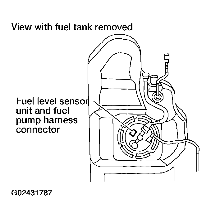 G02431787