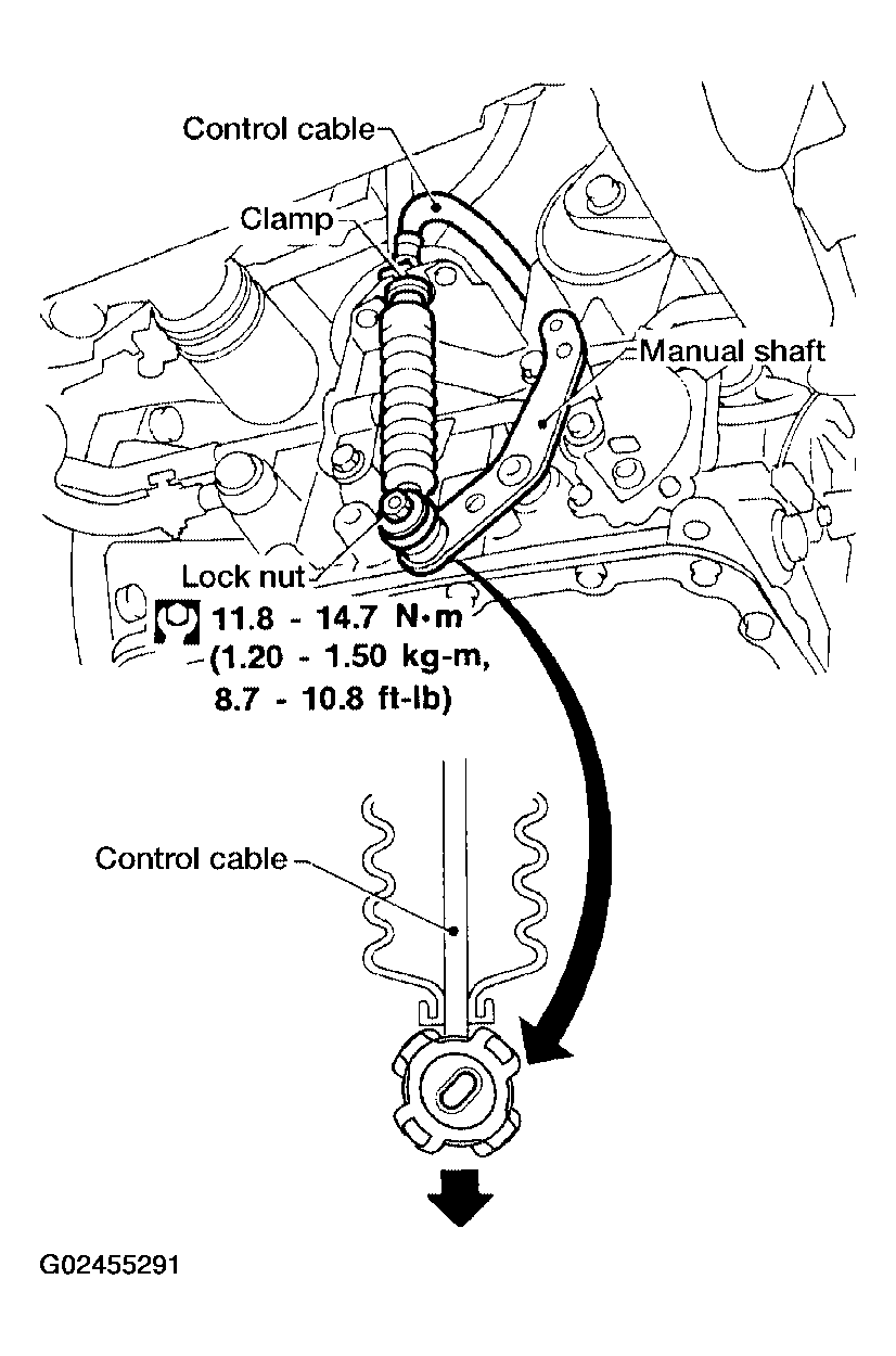 G02455291