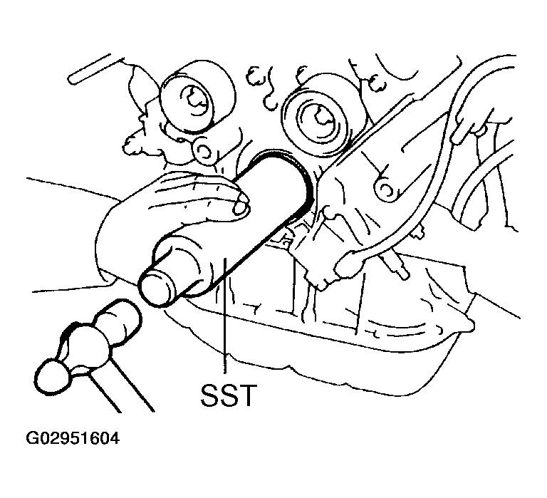 G02951604