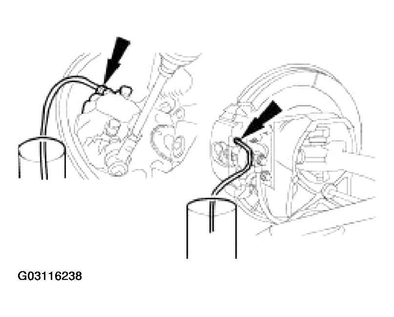 G03116238