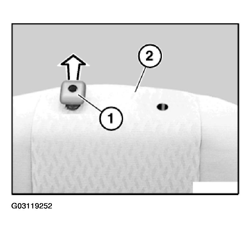 G03119252