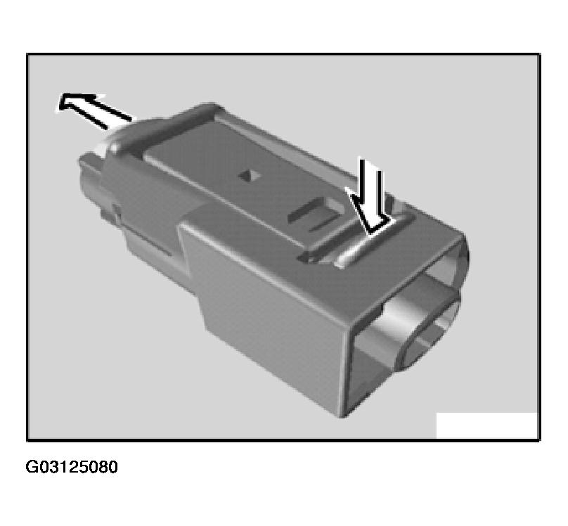 G03125080