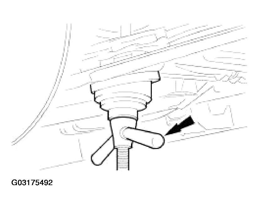 G03175492