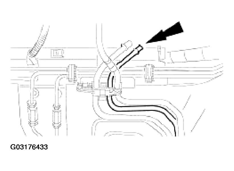 G03176433