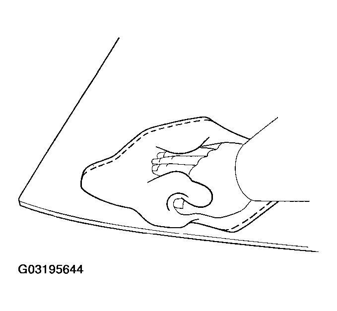 G03195644