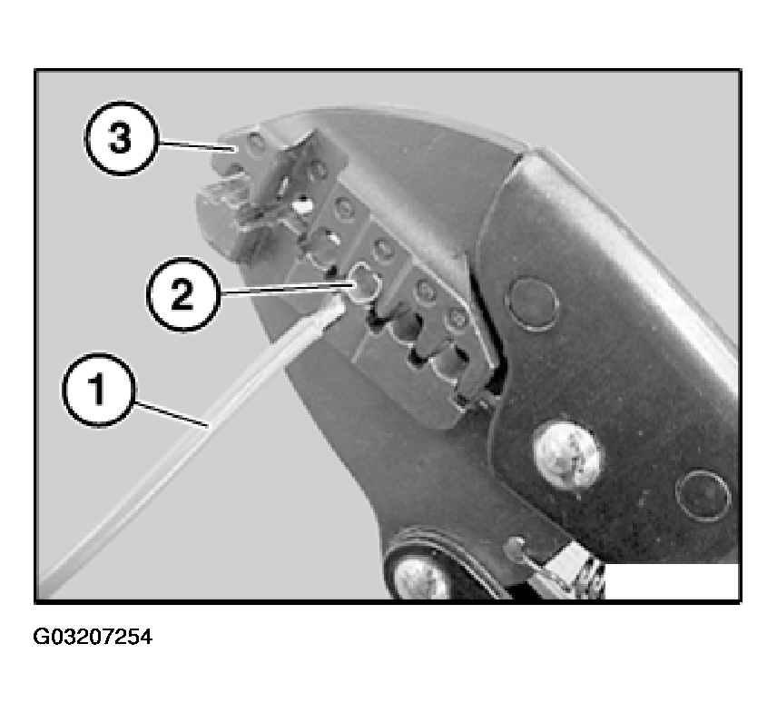 G03207254
