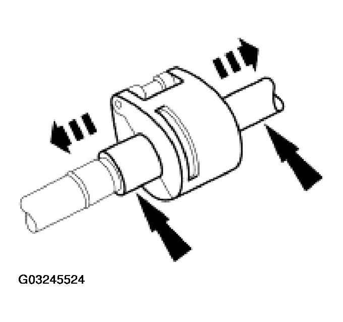 G03245524