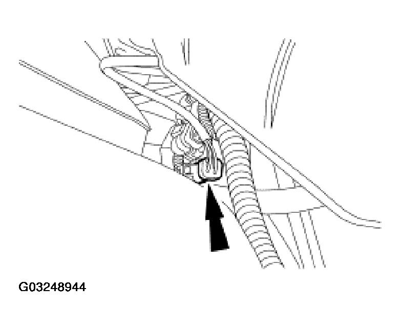 G03248944