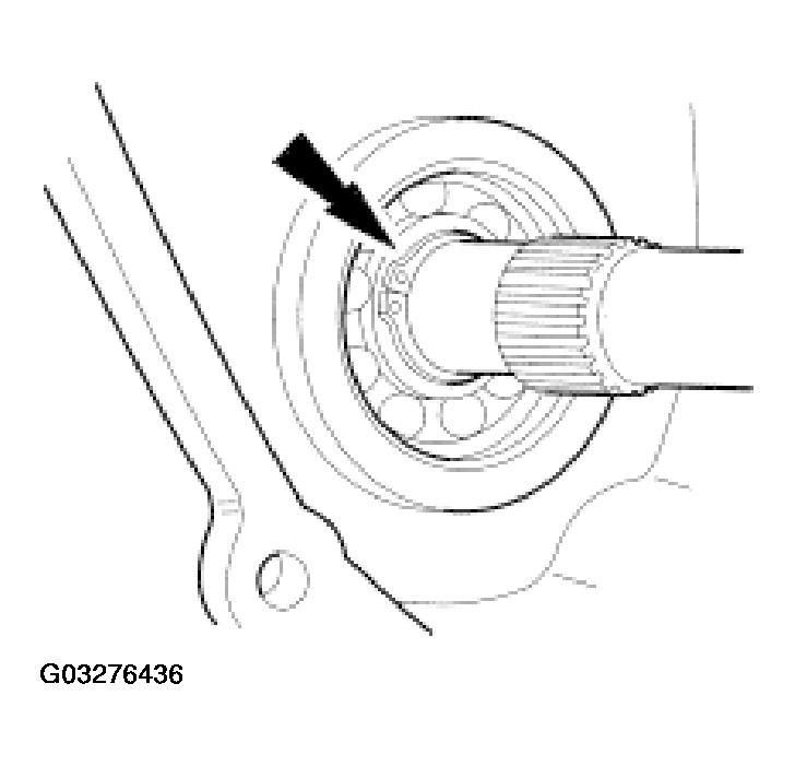 G03276436