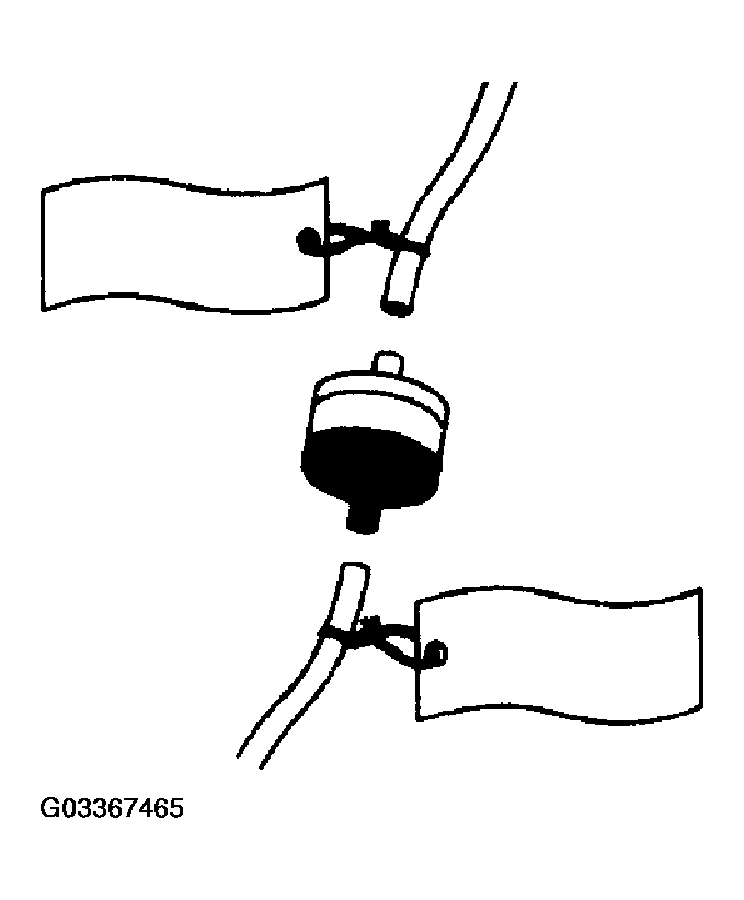 G03367465