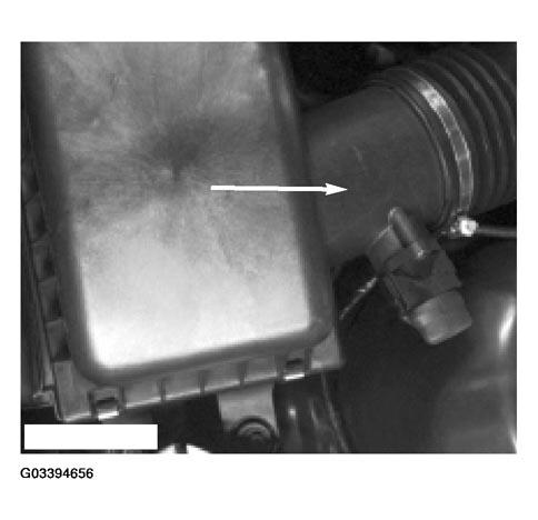 G03394656