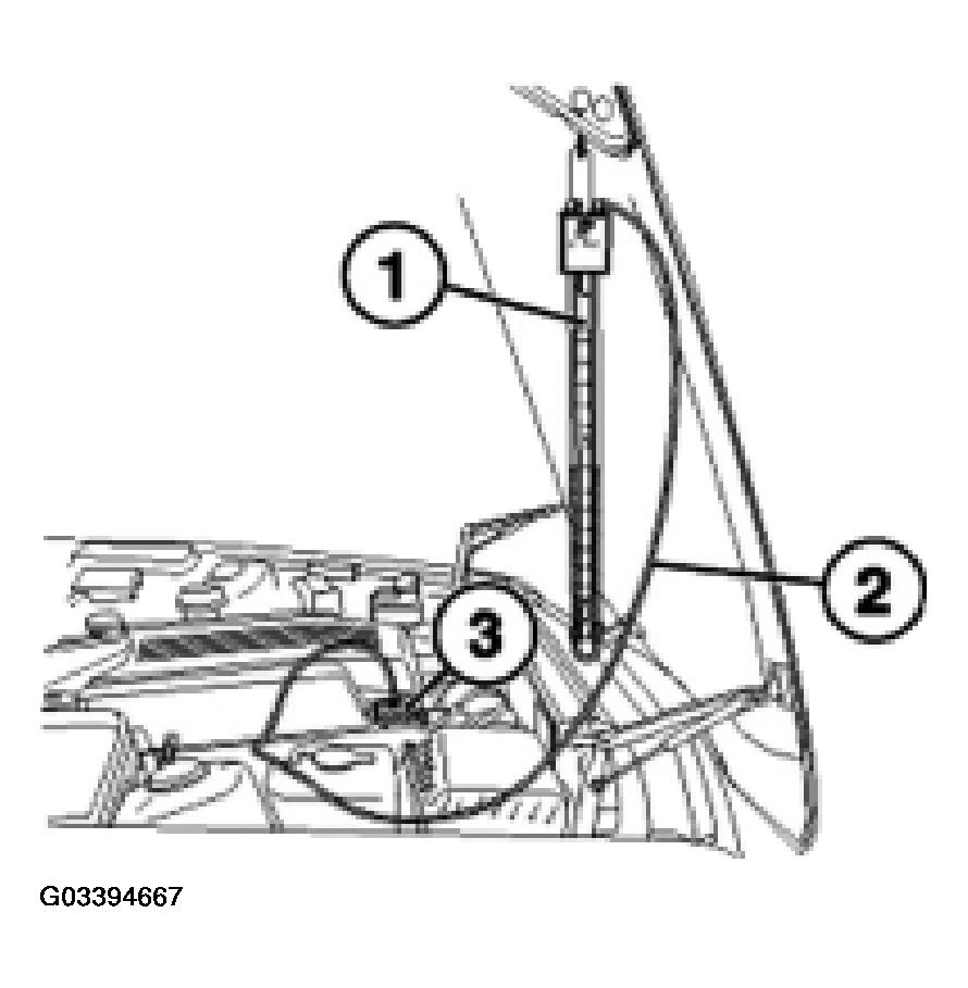 G03394667