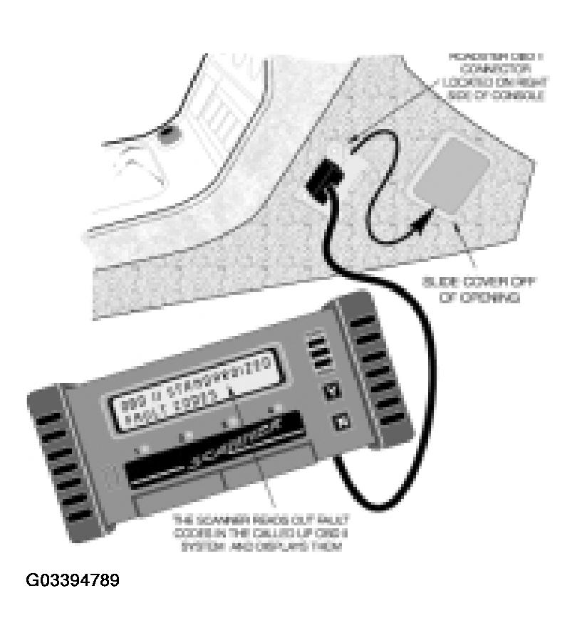 G03394789