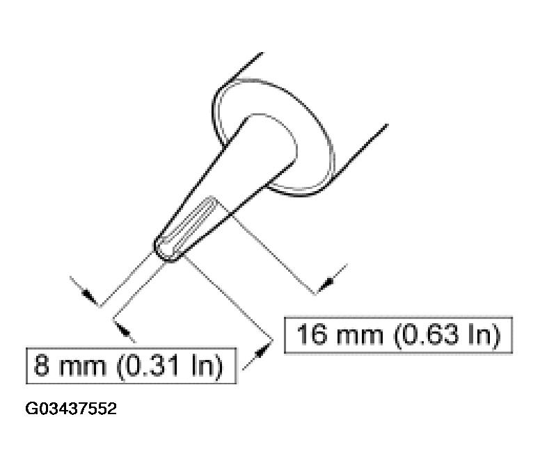 G03437552