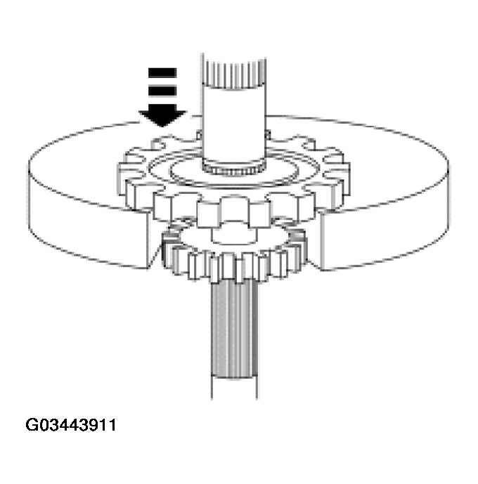 G03443911
