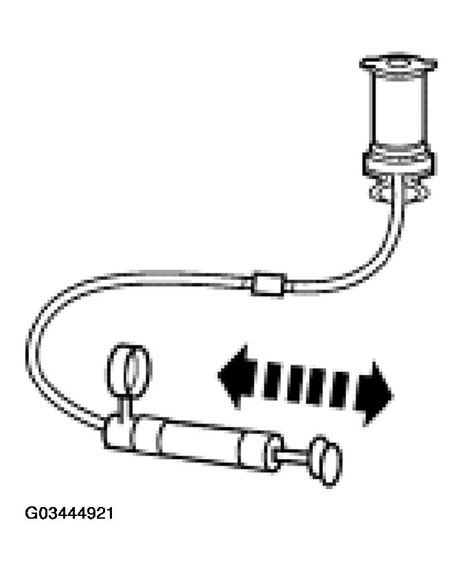 G03444921