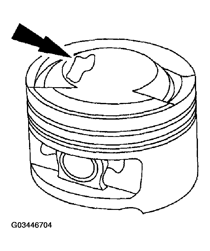 G03446704