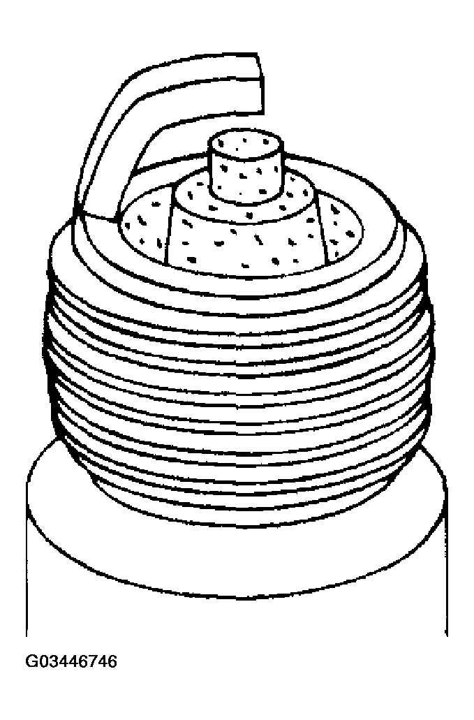 G03446746