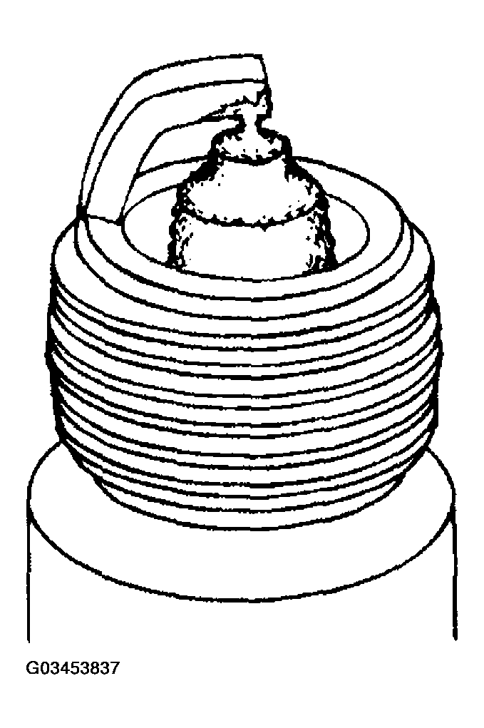 G03453837