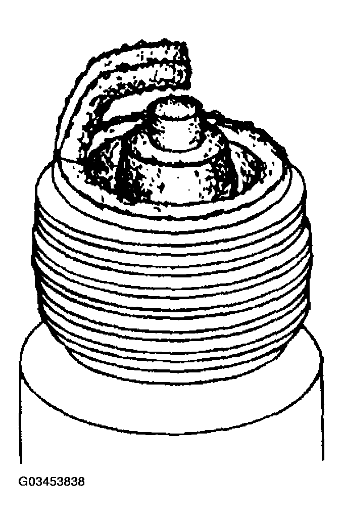 G03453838