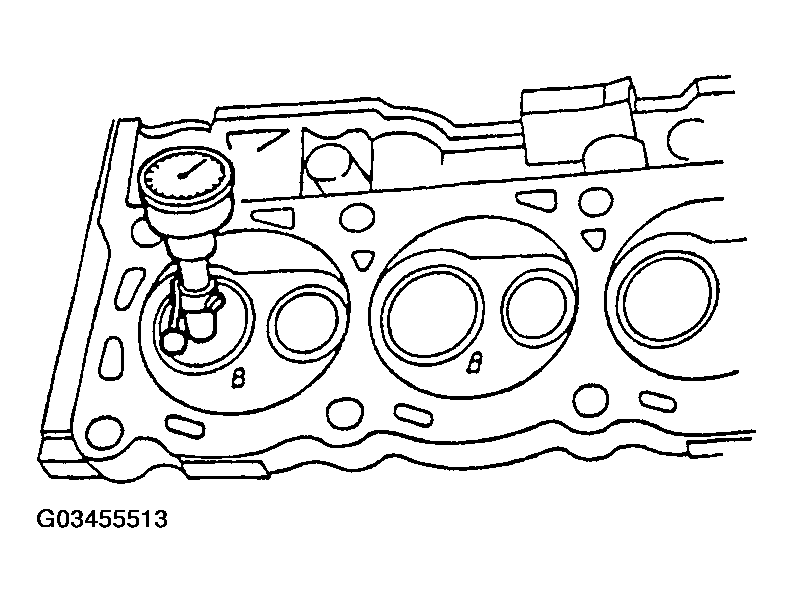G03455513