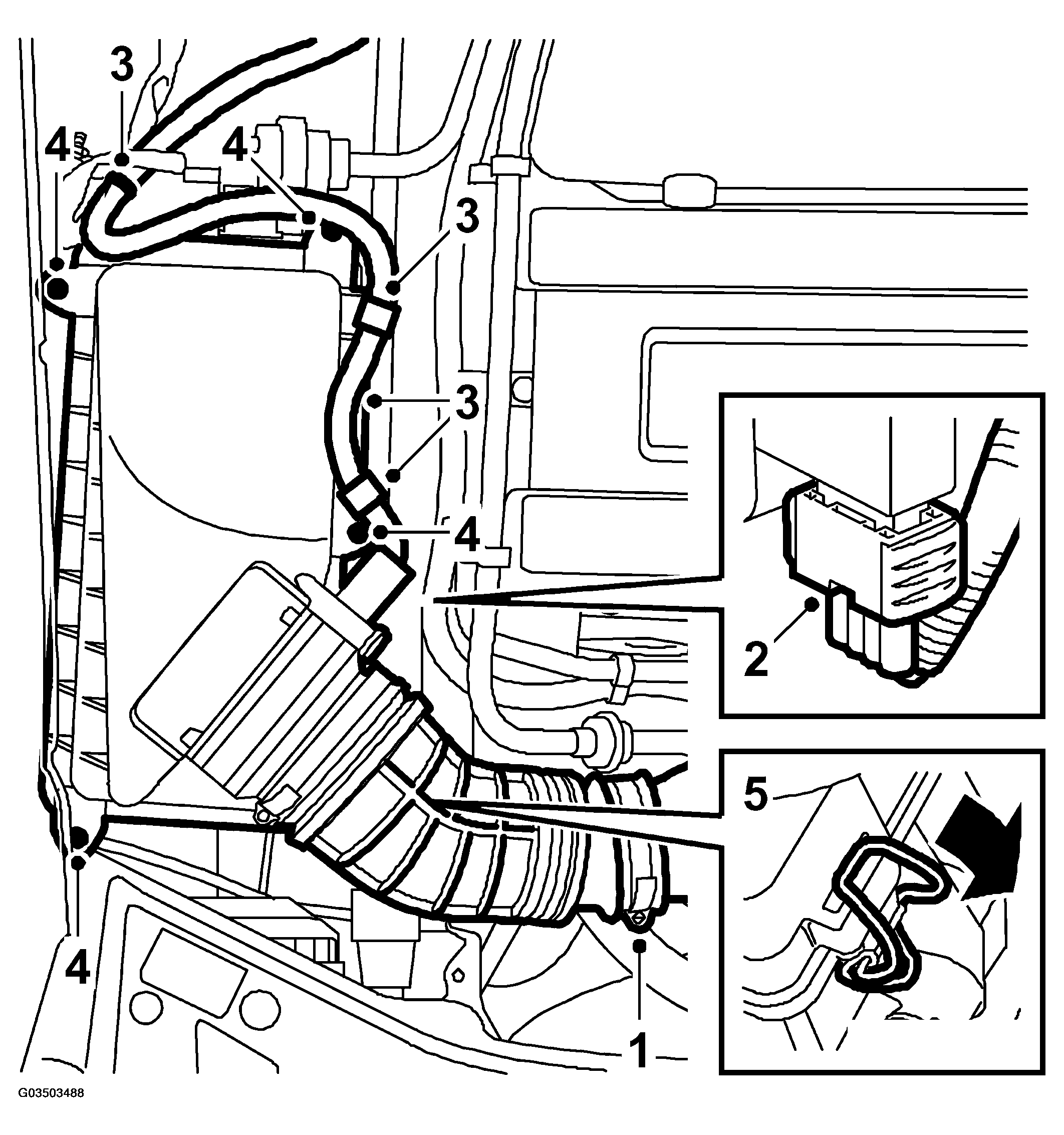 G03503488