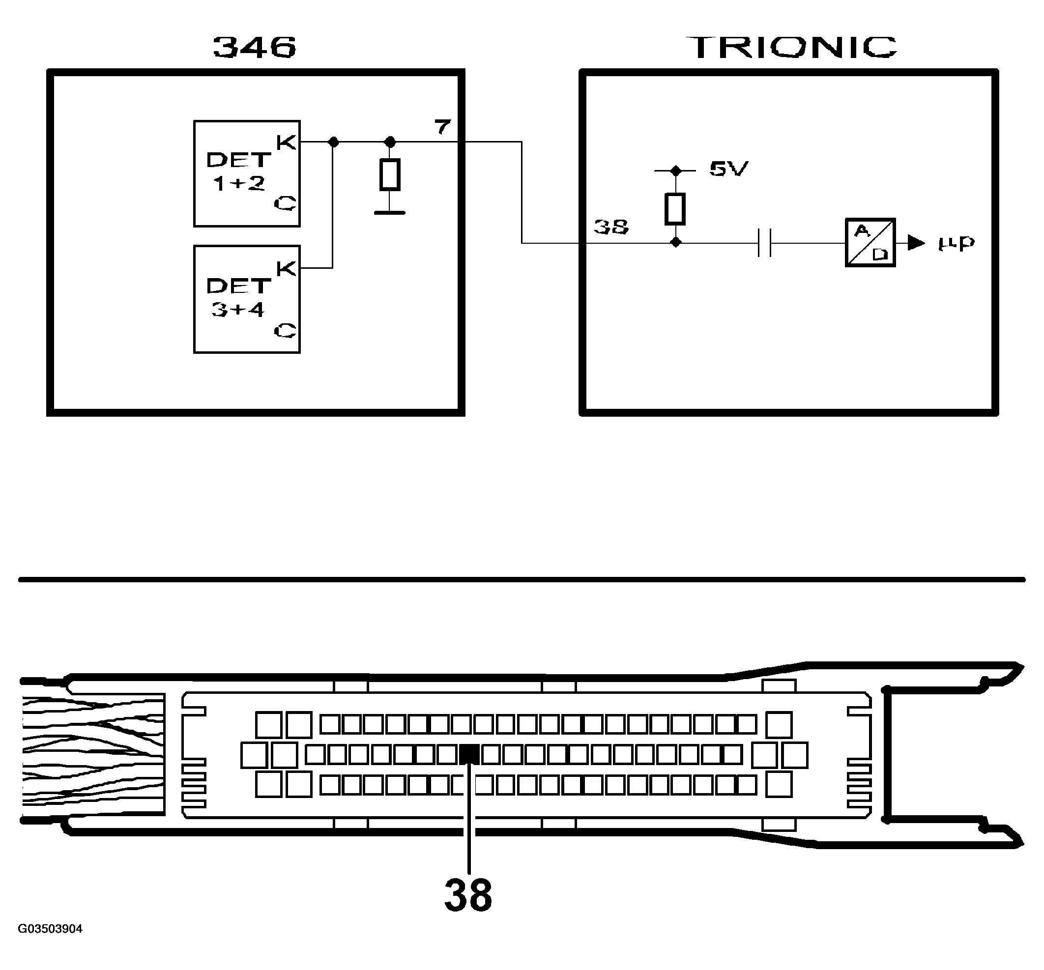G03503904