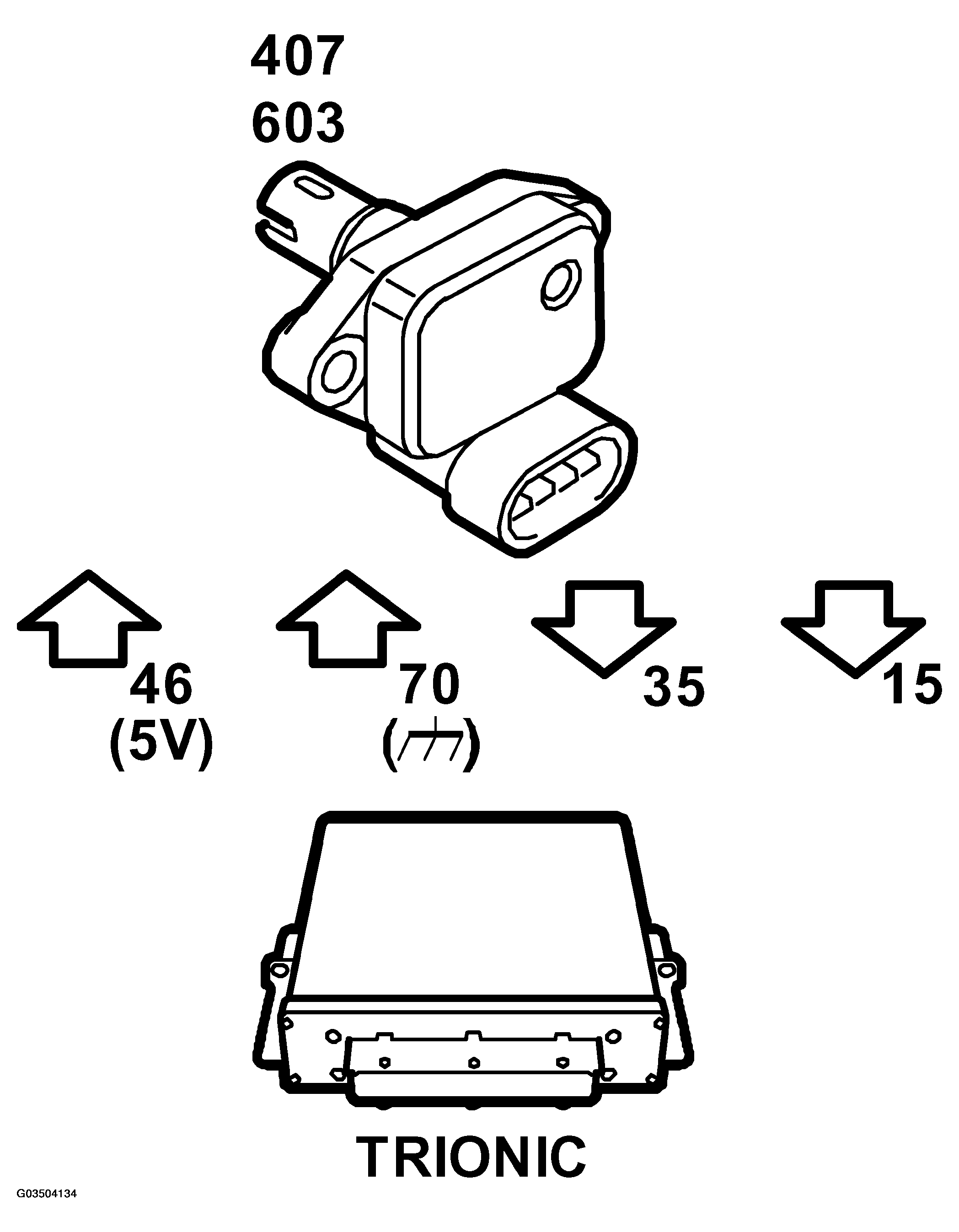 G03504134