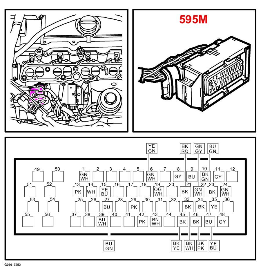 G03617252