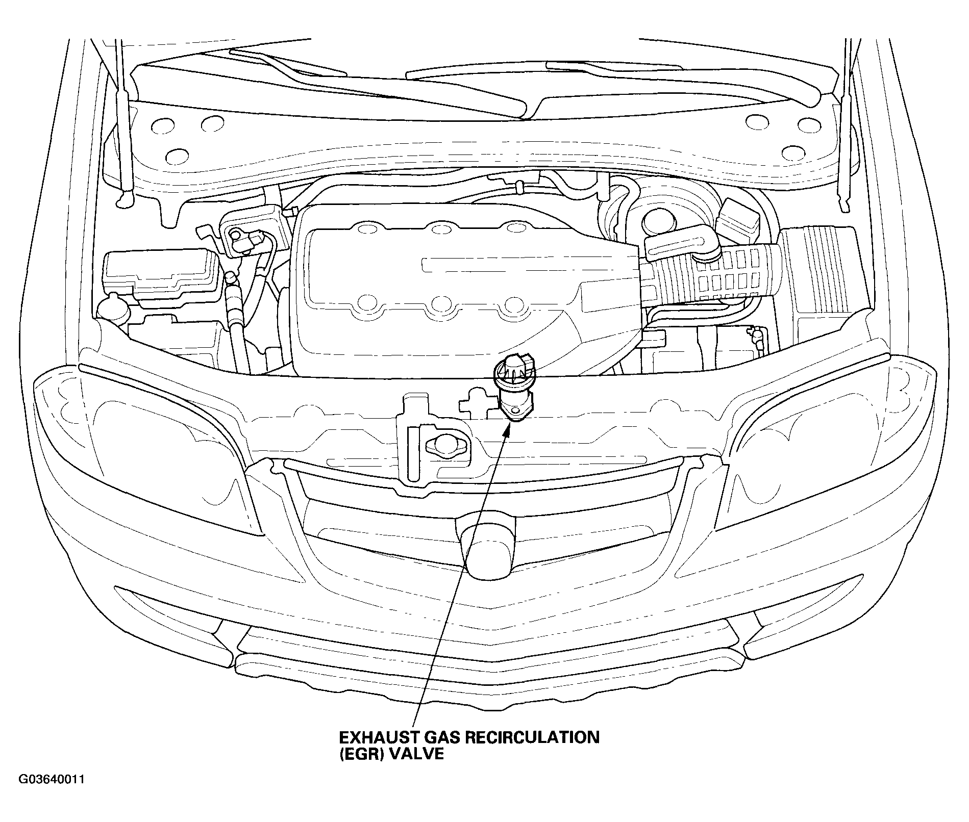G03640011