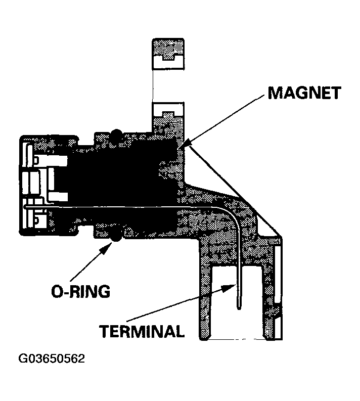 G03650562