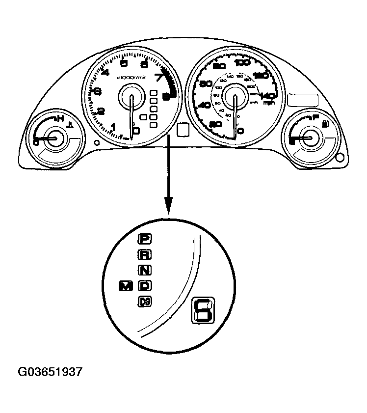 G03651937
