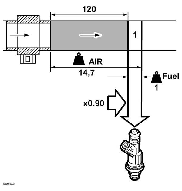 G03656002