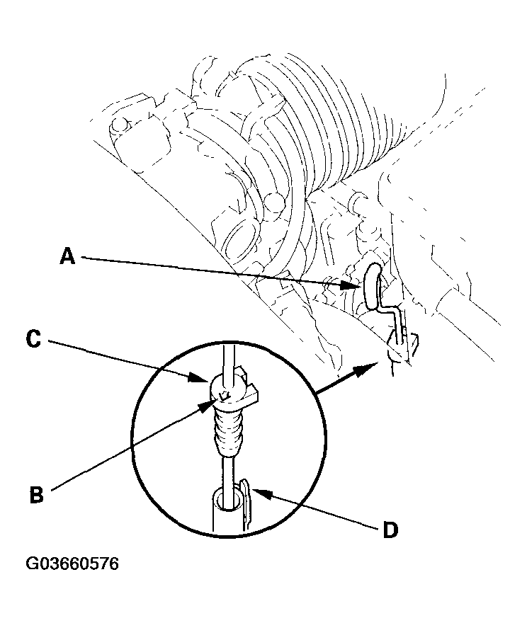 G03660576