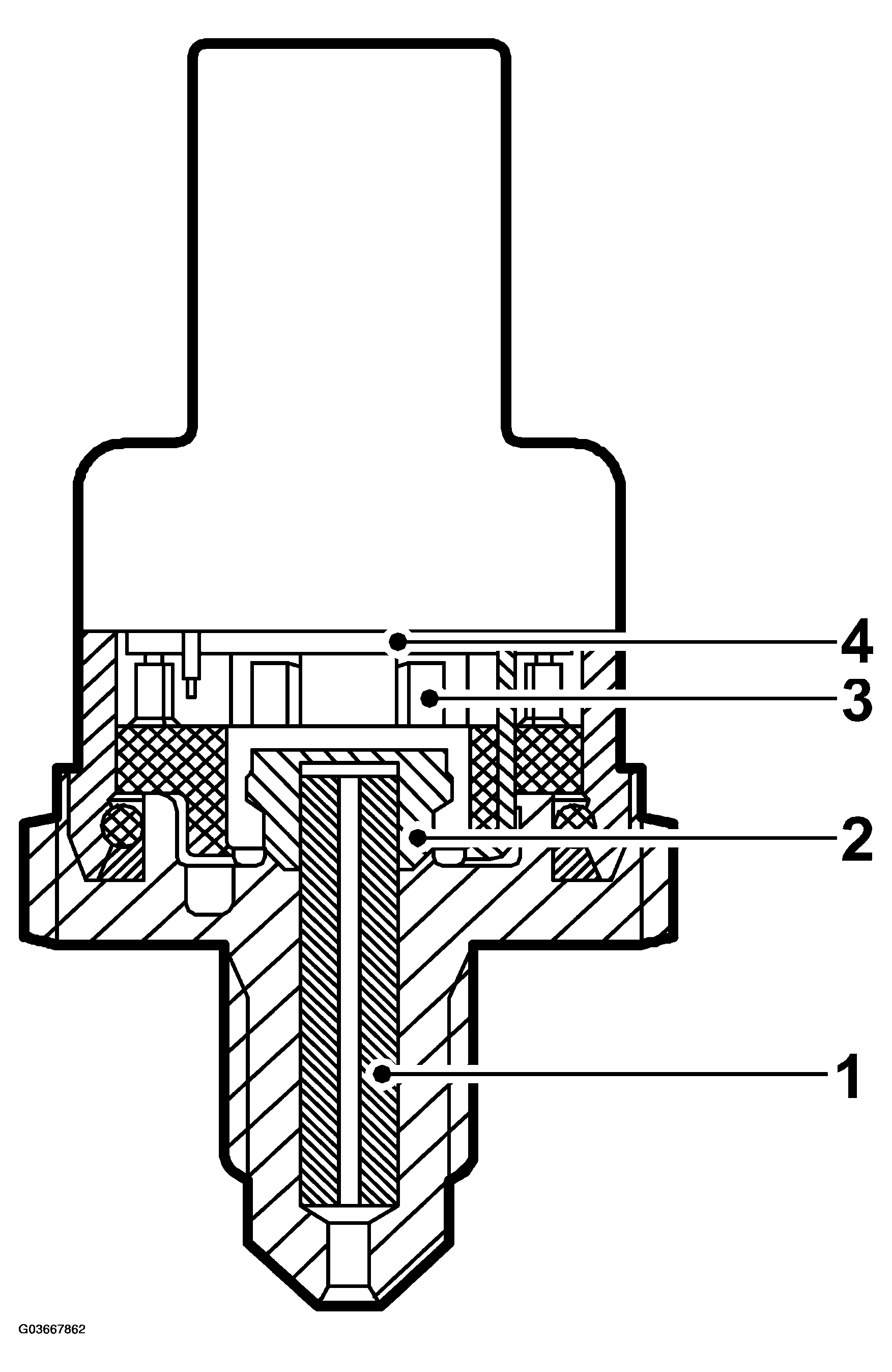 G03667862